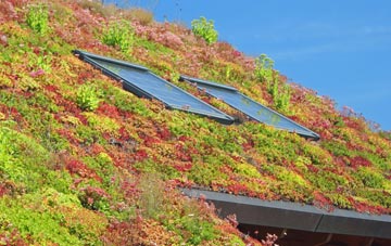 Borwick living roof systems